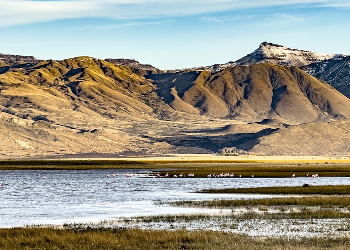 Argentinien Patagonien El Calafate Landschaft total-2 Flamingos TRAVELness MotorMag 02-2025