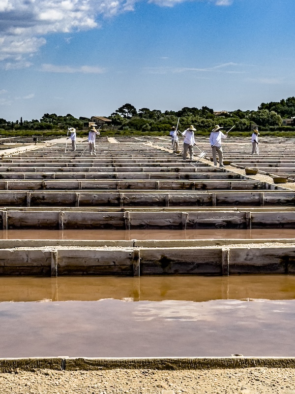 Mallorca 2025 Sant Jordi Iberostar: In der Saline Flor de Sal d’es Trenc werden die Salzblüten von Hand geschöpft-4