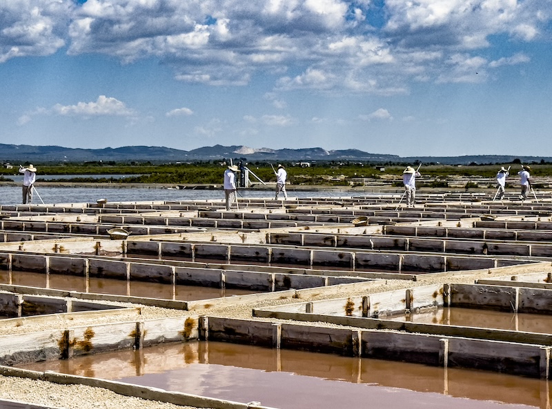 Mallorca 2025 Sant Jordi Iberostar: In der Saline Flor de Sal d’es Trenc werden die Salzblüten von Hand geschöpft-3