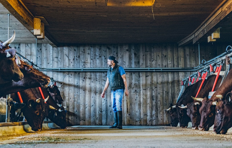 WIESERGUT_Landwirtschaft erleben (c) Patrick Dunst