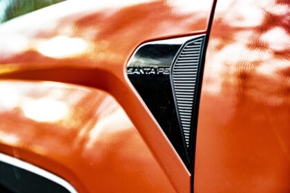 Hyundai Santa Fe MotorMag Reinhold Deisenhofer aussen Logo nah