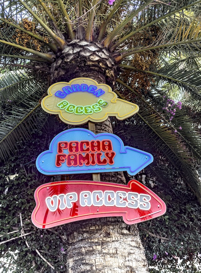 Ibiza Schild Club Pacha Palme MotorMag Reinhold Deisenhofer