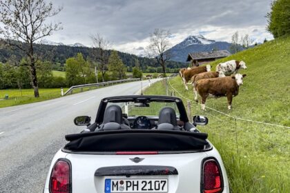 Mini Cabriolet aussen Heck Kuehe MotorMag Reinhold Deisenhofer
