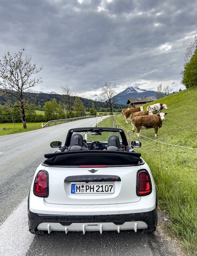 Mini Cabriolet aussen Heck Kuehe MotorMag Reinhold Deisenhofer